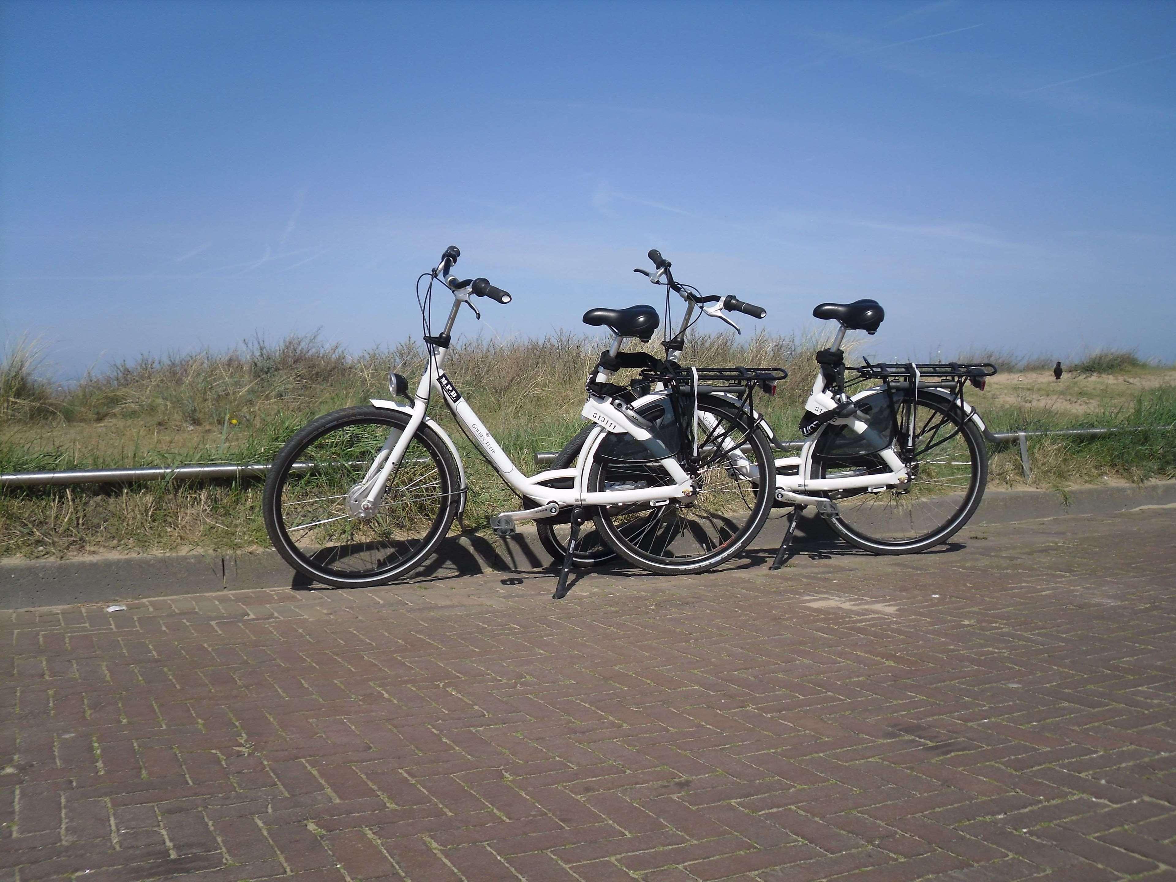 Two Brothers Noordwijk Beach Exterior foto